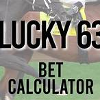 free bet calculator lucky 63